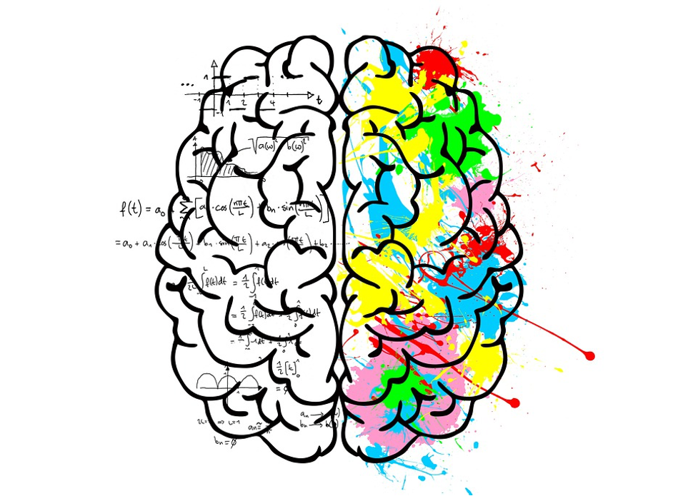 Brain 72. Полушария мозга. Левое полушарие. Левое полушарие мозга. Левое и правое полушарие мозга.